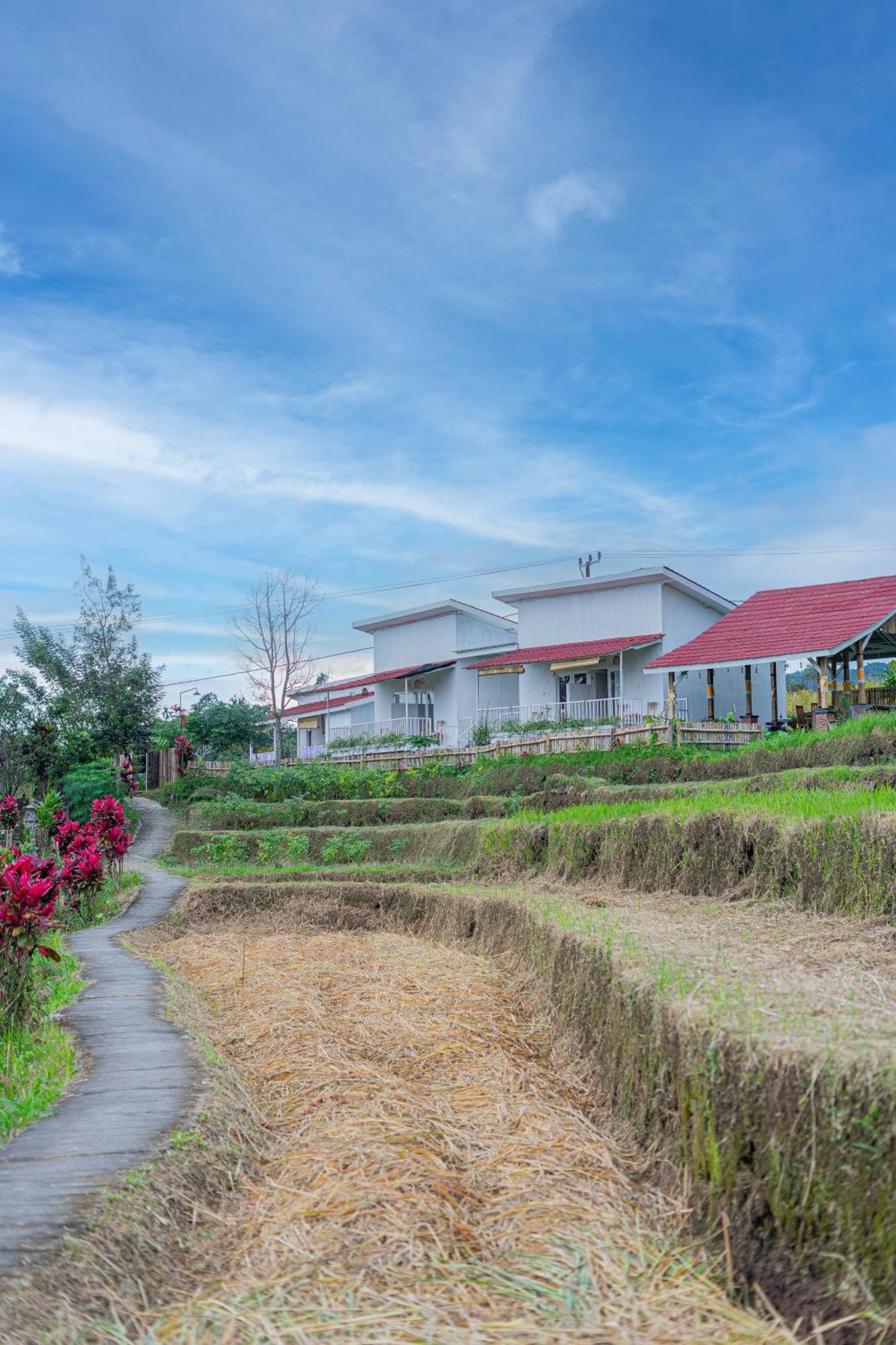 ג'טילווי Santya Loka Lodge & Twin Waterfall מראה חיצוני תמונה