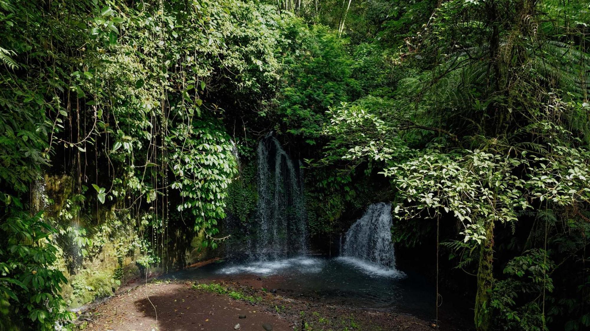 ג'טילווי Santya Loka Lodge & Twin Waterfall מראה חיצוני תמונה