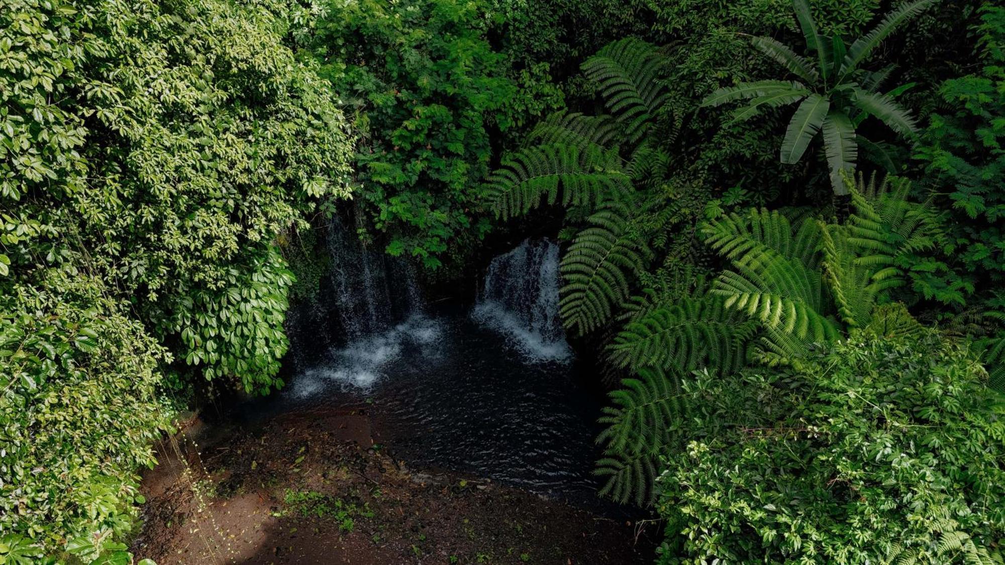 ג'טילווי Santya Loka Lodge & Twin Waterfall מראה חיצוני תמונה